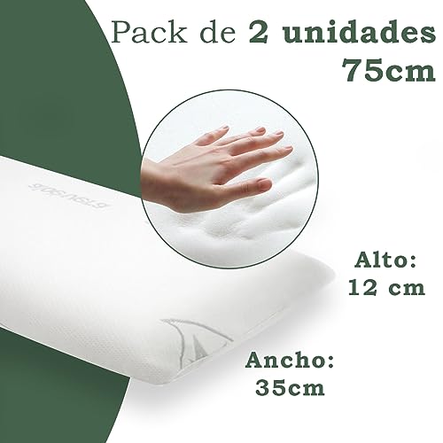 Aitsse- Almohada viscoelástica con núcleo 100% Viscoelástico, Funda de Aloe Vera Desenfundadle, Ergonómica, Anti bacterias, Termorregulable y Libera la presión Cervical. (Pack 2 Unidades 75 cm)