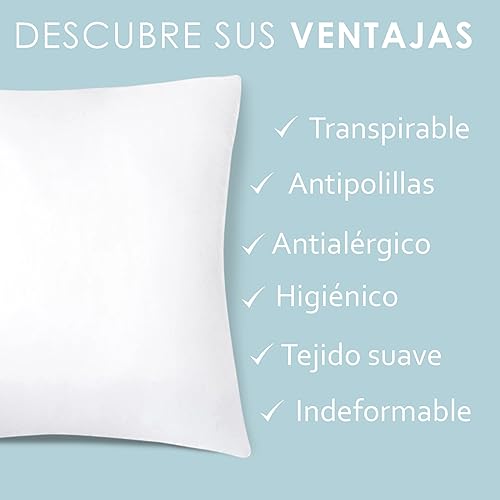 Aitsse- Relleno de Cojín de Fibra Hueca Siliconada de Alta Recuperación 2/4/6 Unidades, Suave, Mullido, Antialérgico. Cojín Decorativo para Casa, Dormitorio, Salón o Coche. (2, 45x45cm)