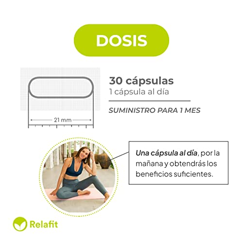 Alcachofa Forte 1.000 mg – 30 Cápsulas | Suministro para 1 mes | Detox para el organismo | Depurativo, digestivo y diurético | Relafit - Laboratorios MS