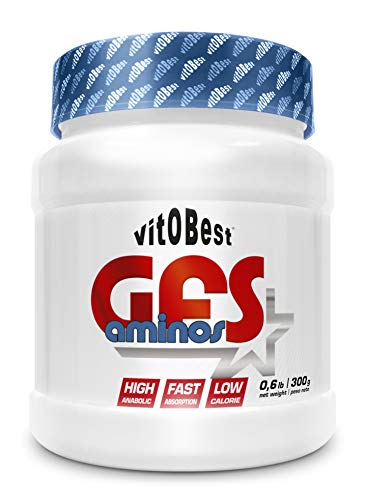 Aminoácidos Esenciales GFS AMINOS Polvo,(Neutro, 300g) - Suplementos Deportivos - Vitobest