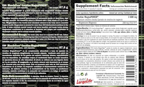 AMIX - CREATINE MAGNAPOWER - 120 CAPS - Complemento alimenticio - Aumenta la fuerza muscular - Favorece la hidratación intracelular