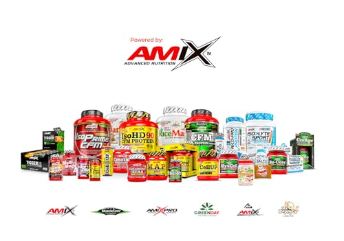 AMIX - Proteína en Polvo Carbojet Gain - Suplemento con Hidratos de Carbono -Proteína para Ganar Masa Muscular - Ideal para Atletas de Élite - Sabor Vainilla - 2,25 KG