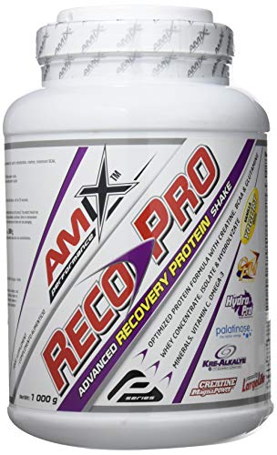 AMIX - Recuperador Muscular - Reco Pro Advanced Protein Shake en Formato de 1000 g - Mejora la Regeneración Muscular - Contiene Proteína Hidrolizada e Isolada - Sabor a Vainilla Yogurt