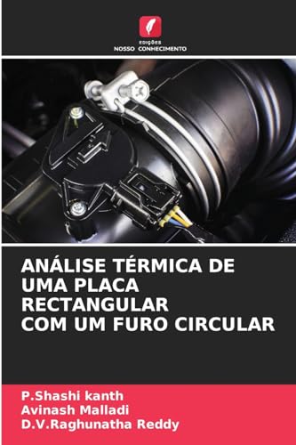 ANÁLISE TÉRMICA DE UMA PLACA RECTANGULAR COM UM FURO CIRCULAR