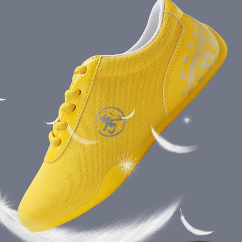 Antideslizantes Tai Chi Kung Fu Zapatos,Zapatos De Entrenamiento Artes Marciales,Zapatos De Taekwondo Artes Marciales,Transpirables,CóModos Antideslizantes,para Gimnasio Ejercicio Equipo