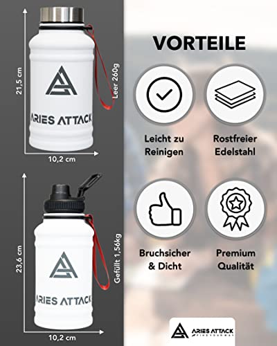 ARIES ATTACK Botella de acero inoxidable de 1,3 l, 1 L de agua para fitness, gimnasio y exterior, cierre de beber extra, sin BPA, estable y a prueba de fugas, apto para ácido carbónico (Toronto)