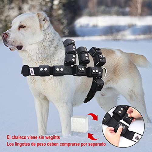 Arnés Perro, Arnes Perro Pequeño Mediano Grande, Arnés Antitirones Perro, Chaleco Protector para Perros, Arnes para Perro Militar, Chaleco Peso Perro, Arnes con Bolsillos, Arnes con Peso para Perros