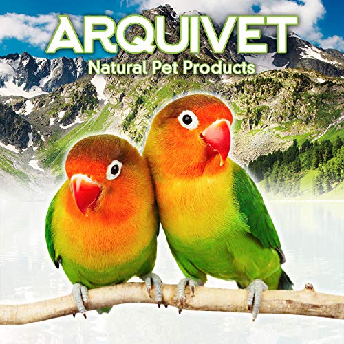 Arquivet Columpio de Metal y Madera para pájaros 12 cm- Juguetes pájaros - Accesorios de Jaula para pájaros - Columpio para Loros, periquitos, agapornis - Complementos Jaula Aves