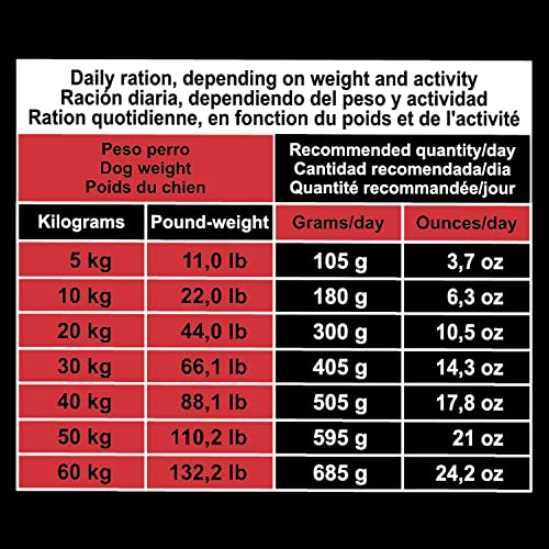 Arquivet Original - 20 Kg - Pienso para Perros Adultos - Cerdo ibérico y arroz - Comida - Alimento seco Saludable- Alimentación Canina