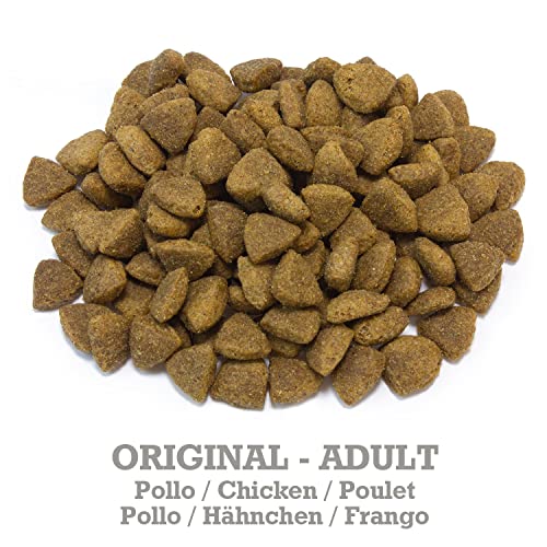 Arquivet Original Adult - Pienso para Perros Adultos - Pollo y arroz - Comida para Perros - Alimento seco para Perros - Alimentación Canina - Pienso Saludable - 20 kg