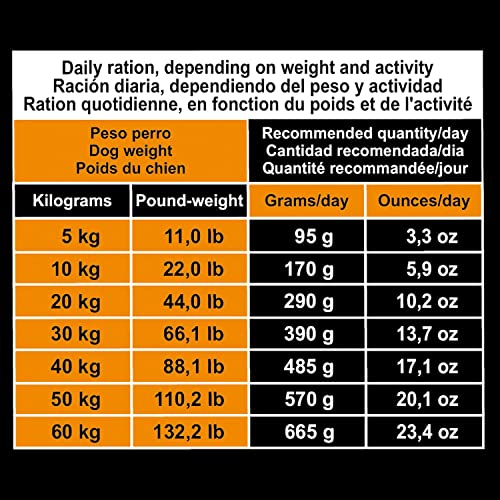 Arquivet Original Adult - Pienso para Perros Adultos - Pollo y arroz - Comida para Perros - Alimento seco para Perros - Alimentación Canina - Pienso Saludable - 20 kg