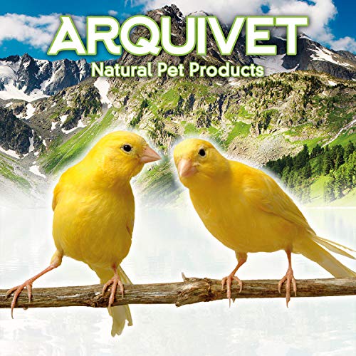 Arquivet Palo Grande de plástico para jaulas de pájaros - 23 cm - Accesorios y complementos para Aves - Agapornis, Canarios, periquitos, jilgueros - Palo posadero