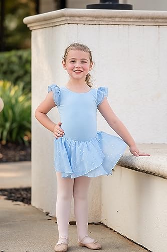 Arshiner Vestido de Ballet para niñas Vestido de Leotardo de Ballet para niños Niños de Baile de Disfraces de Gimnasia con Falda de Gasa