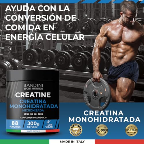 Bandini® Creatina Monohidratada MERCURIO FREE en Polvo 100% Pura - Para mejorar el Rendimiento y la Potencia Muscular - Sin aditivos - 100% Vegano - Incluye dosificador - 300 gramos y 88 porciones