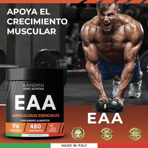 Bandini® EAA Aminoácidos Esenciales 480 TABLETAS - Con 9 Aminoácidos Esenciales Intra Pre y Post Entrenamiento - Promueve el crecimiento y la recuperación muscular - Vegano y sin azúcar