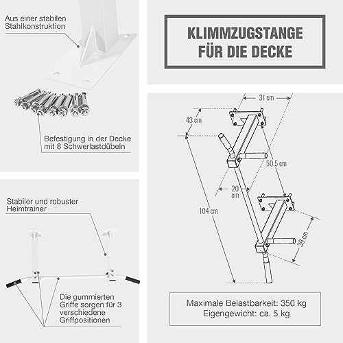 Barra de Flexiones para Techo en Negro y Blanco