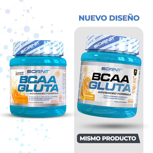 BCAA Glutamina - BCAA GLUTA - BCAA Glutamine - 500 g - Aminoacidos ramificados con glutamina - Aminoacidos bcaa y glutamina - BCAAs aminoacidos - Aminoacidos ramificados en polvo (Naranja)