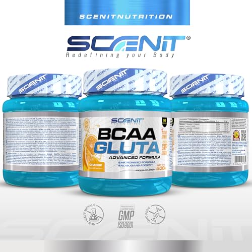 BCAA Glutamina - BCAA GLUTA - BCAA Glutamine - 500 g - Aminoacidos ramificados con glutamina - Aminoacidos bcaa y glutamina - BCAAs aminoacidos - Aminoacidos ramificados en polvo (Naranja)