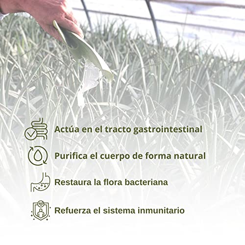 Benessence - Jugo y pulpa de Aloe Vera Líquido para beber, sin pasteurizar y sin filtrar, Salud digestiva - 1L