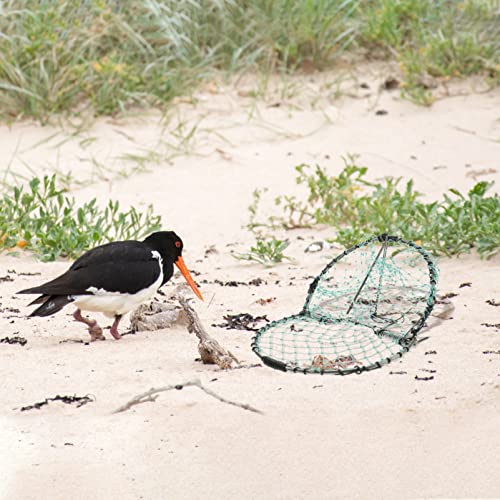 BESPORTBLE Jaula De Caza De Aves Paloma Codorniz En Gorrión Primavera Estornino Trampas De para Atrapar Aves