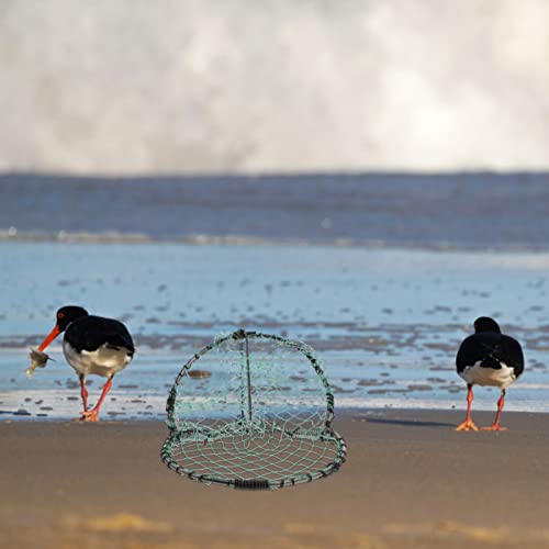 BESPORTBLE Jaula De Caza De Aves Paloma Codorniz En Gorrión Primavera Estornino Trampas De para Atrapar Aves