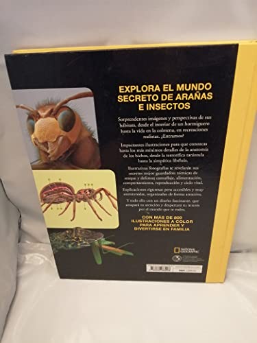 Bichos asombrosos. El fascinante mundo de arañas e insectos (National Geographic Kids)