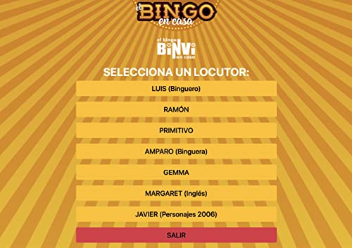 Bingo BINVI Ed. 20º Aniversario 320 cartones