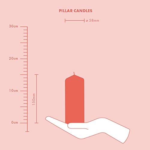 Bolsius Velas de pilar lisas, color blanco, paquete de 4, 15 x 6 cm, velas decorativas para el hogar, duración de combustión, 42 horas, sin perfume, cera vegetal natural, sin aceite de palma