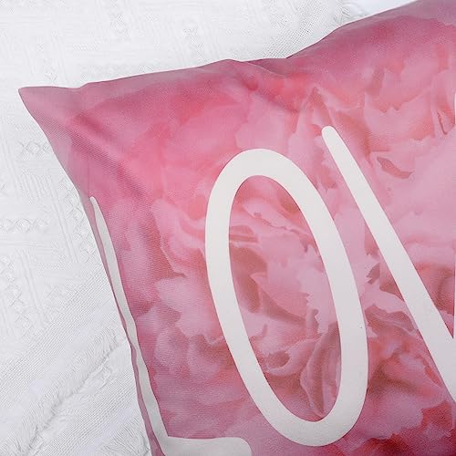 Bonhause Fundas de Cojín Flores Rosa 45 x 45 cm Funda de Almohada Clavel Flore Rosa Terciopelo Suave Rosa Cojines Decorativos para Sofá Cama Hogar Juego de 4