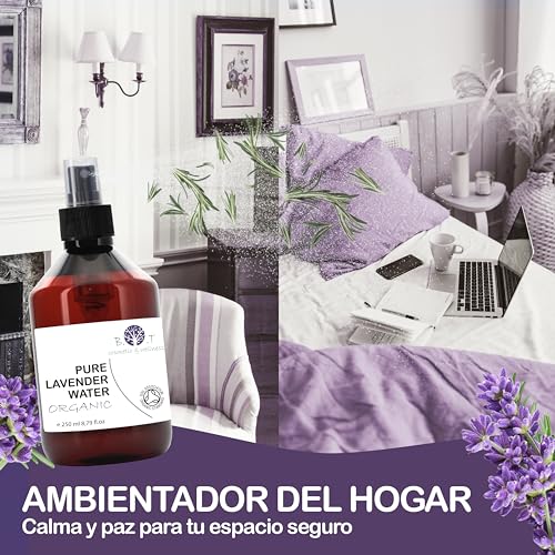 B.O.T Cosmetic & Wellness - Agua Floral de Lavanda Orgánica 100% | Piel Sensible y Madura | Aroma Natural | Estimula Crecimiento Capilar | Combate Celulitis, 100 ml