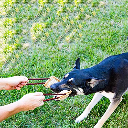 BOW CALICO mordedor Perro, 30 cm, K9 Dummy y motivador canino Resistente y Duradero - Juguetes para Perros de Entrenamiento