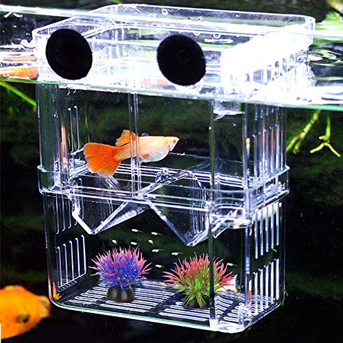 Caja de Cría de Peces de Acuario, Caja de Aislamiento de Peces de Doble Capa, Caja de Aislamiento de Peces/Criadero de Peces para Guppy, Peces Tropicales, Separador de Tanque de Incubadora Flotante