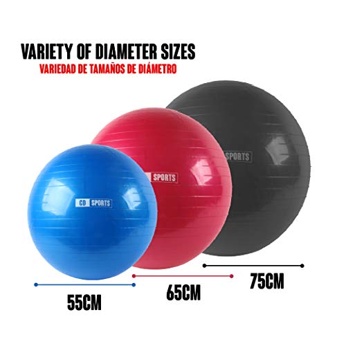 Calma Dragon Pelota de Pilates 55cm 65cm 75cm Diámetro Fitness Balón para Embarazadas Fitball, con Inflador Incluido, Bola Grande para Yoga, Gimnasia (Negro, 55)