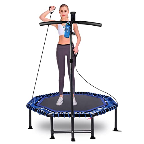 Cama elástica de Fitness para Adultos, Plegable, para Exteriores, con Soporte para teléfono móvil y Soporte para Vasos de Agua, soporta hasta 100 kg (Octagonal)