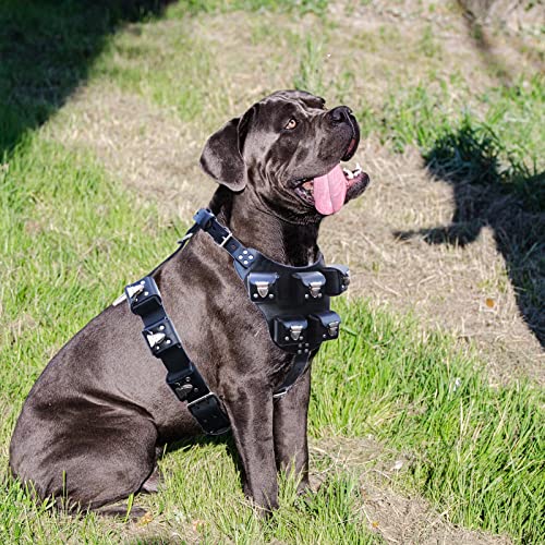 Chaleco con Peso para Perro, Chaleco con Peso Ajustable para Perro, arnés para Perro con Peso con Bolsillo para Entrenar y Hacer Ejercicio