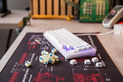 CHERRY MX RGB Blue Switch Kit, Caja con 23 Interruptores para Teclado Mecánico, para DIY, Hot Swap o Teclado Gaming, Interruptor Táctil con Clic (Clicky), Fuerte y Tangible