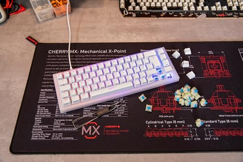 CHERRY MX RGB Blue Switch Kit, Caja con 23 Interruptores para Teclado Mecánico, para DIY, Hot Swap o Teclado Gaming, Interruptor Táctil con Clic (Clicky), Fuerte y Tangible