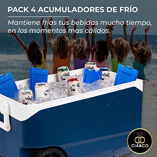 Cia&Co 4 x Acumuladores de Frio/Bloques de Hielo para Neveras Portatiles y Mantenimiento o Aplicación de Frio. Pack de 2 XL 350cc + 2 L 200cc. Gran Duración