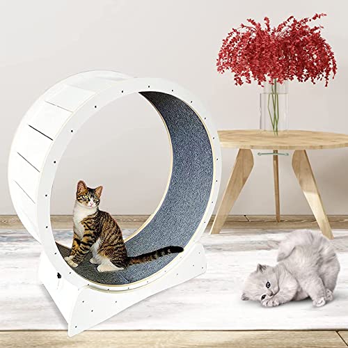 Cinta de correr de gato con diseño sin brecha, rueda de ejercicio para gatos interiores, rueda de carrera de gato silenciosa anti-Piñón de seguridad, dispositivo de pérdida de peso de gatos ,White-XL