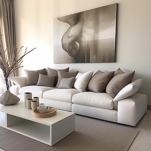 Cojines Sofa 45x45 Almohadones 2 Unidades Decorativos Relleno Cojin Hipoalergénico Antiácaros y Suave Cuadrado con Funda Exterior Almohada Respirable en Cotton/Polyest. Blanco Extraíble y Lavable