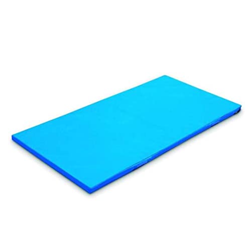 Colchoneta Caída Basic, Colchoneta PVC Resistente y Gruesa, Plegable y con Asas para Fácil Transporte, Mat de Gimnasio, Colchneta Entrenar Casa (200 x 100 x 10 cm, 20 Kg/ m3)