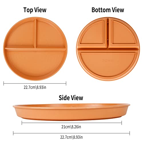 Comius Sharp 22 CM Plato Llano Dividido Irrompible, 4 Platos Llanos Redondos/Plato de Fiesta Colorido Reutilizable de 3 Compartimentos, Apto para Microondas y Lavavajillas, Platos Familiares (Marrón)