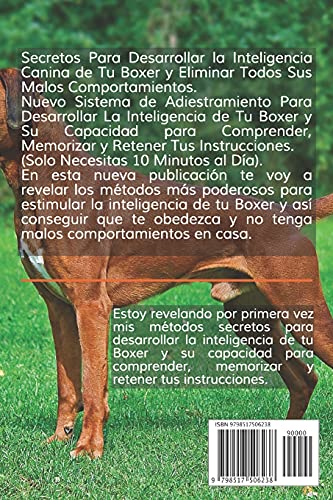 Cómo Aumentar la Inteligencia de Un Perro Boxer: Un Perro Boxer Más Inteligente Es Más Obediente