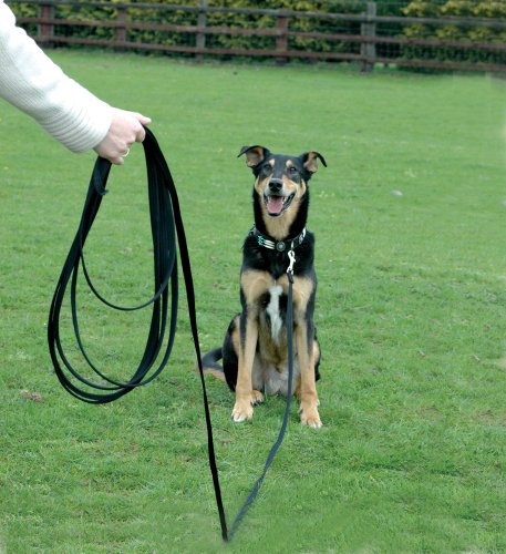 COMPANY OF ANIMALS Training Line, Adiestramiento al aire libre, Llame a su perro, Socialización de perros y cachorros, Cortar persecuciones. Para cachorros y perros pequeños y medianos. (Ligera 5 m)