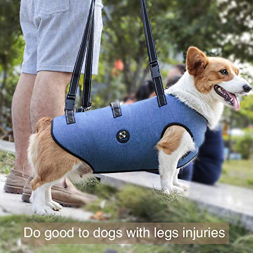 Coodeo Arnés de Elevación para Perros, Soporte para Mascotas Y Rehabilitación. Correas Transpirables Acolchadas Ajustables para Personas Mayores, Discapacitadas Lesiones en Las Articulaciones(Azul, S)