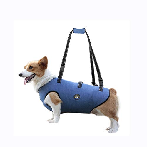 Coodeo Arnés de Elevación para Perros, Soporte para Mascotas Y Rehabilitación. Correas Transpirables Acolchadas Ajustables para Personas Mayores, Discapacitadas Lesiones en Las Articulaciones(Azul, S)