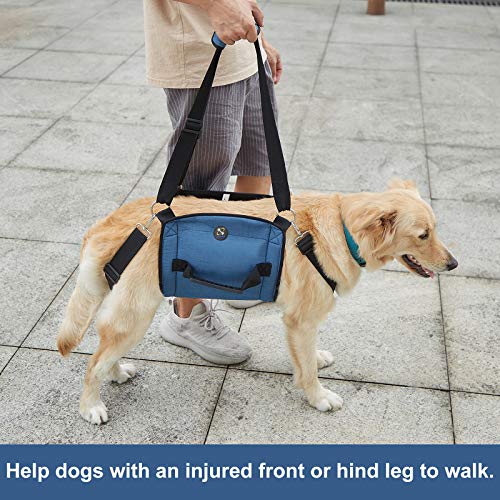 Coodeo Eslinga de Transporte para Perros, Mochila de Emergencia, Soporte para Las Piernas de Las Mascotas Y Arnés de Elevación para Perros de Rehabilitación para Cortar Las Uñas (XL, Azul)