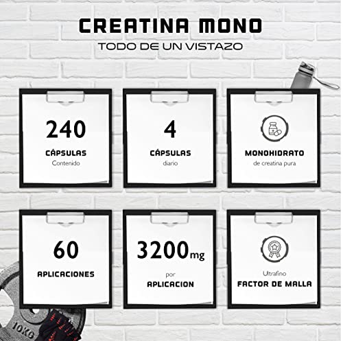 Creatina – 240 cápsulas veganas – Alta dosis de 3200 mg de creatina monohidrato por día – Premium: Ultrafina + factor de malla de 200 – Probado en laboratorio – Vegano