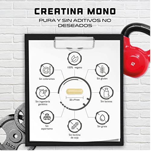 Creatina – 240 cápsulas veganas – Alta dosis de 3200 mg de creatina monohidrato por día – Premium: Ultrafina + factor de malla de 200 – Probado en laboratorio – Vegano