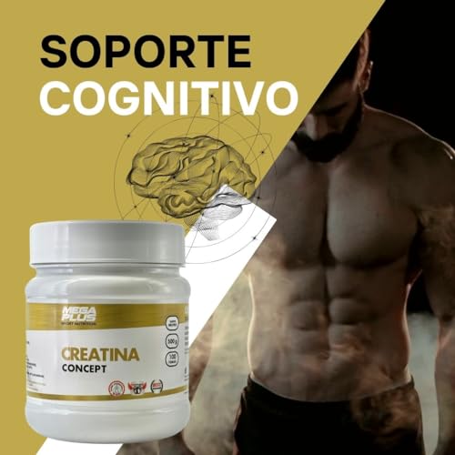 Creatina Concept Mega Plus Sport Nutrition - Creatina - Creatina monohidratada - 100% Creatina monohidrato micronizada - Sin aspartamo, sin gluten - Monohidrato de creatina 500g